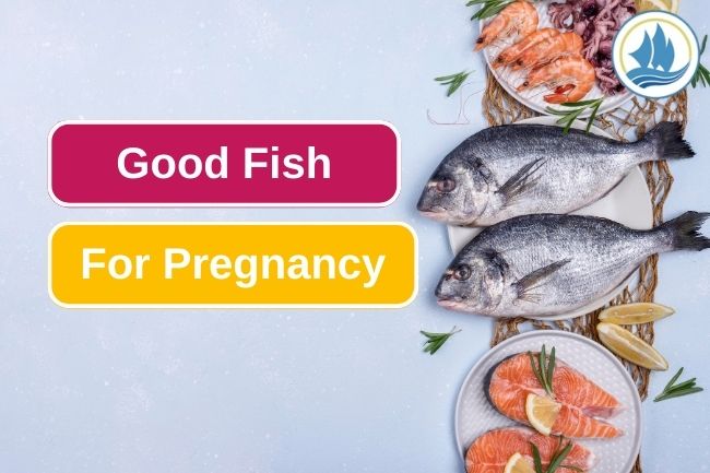 5 Good Fish For Pregnant Women